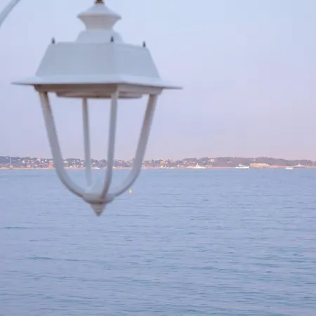 Nid D'amour # Vue - Et Port A Pied - Evasion De Reve Cannes